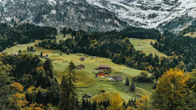 Valle alpino suizo con montañas y bosque