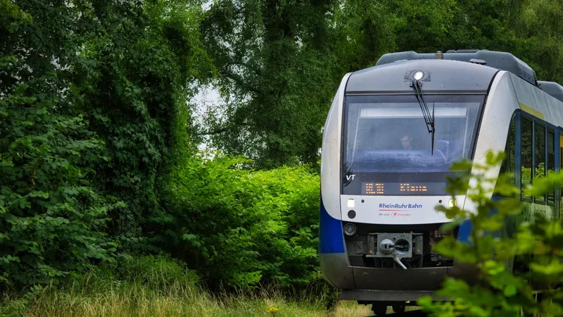 Regionaler Personenzug, der durch grüne Landschaft fährt