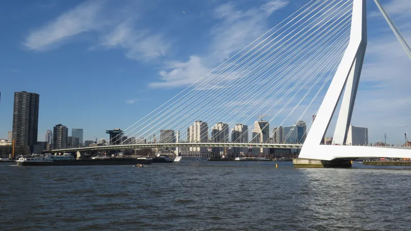De Erasmusbrug over de Nieuwe Maas met de skyline van Rotterdam op de achtergrond