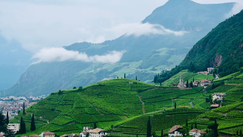 De wijngaarden en daken van Bolzano onder de mistige bergen van Zuid-Tirol.