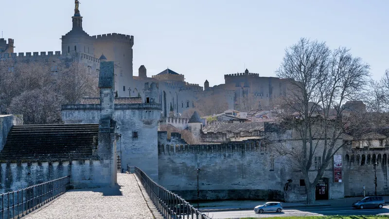 De historische vestingwerken van Avignon en het Palais des Papes gezien vanaf Pont Saint-Bénézet.