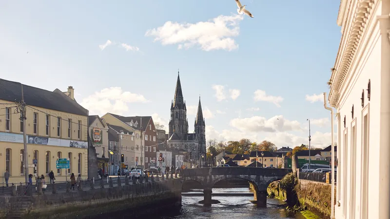 De torens van St Fin Barre's Cathedral achter een stenen brug over de rivier de Lee in Cork, Ierland