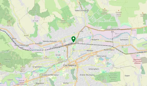 Mappa che mostra la posizione di Cluj-Napoca
