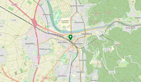 Mappa che mostra la posizione di Heidelberg Hbf